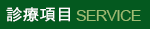 敬偉牙醫診療項目